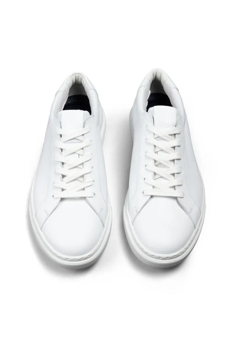 LLOYD ARDEN black Online