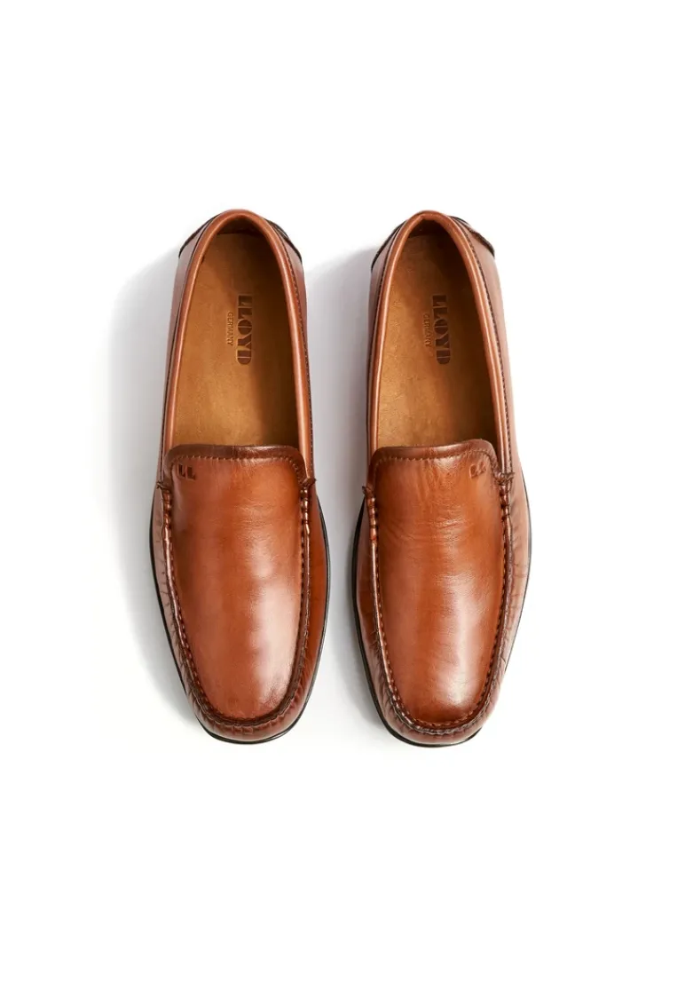 LLOYD EMILIO brown Cheap