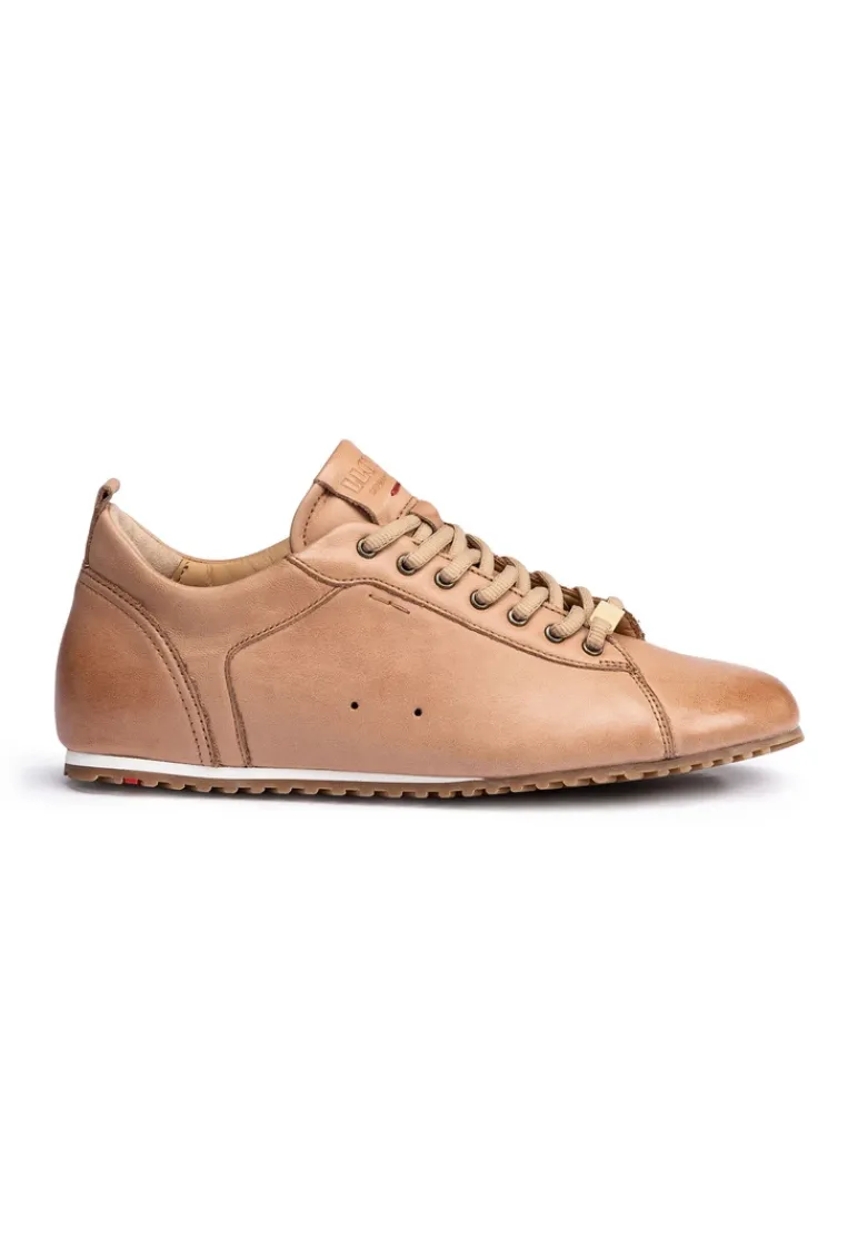 LLOYD SNEAKERS brown Discount