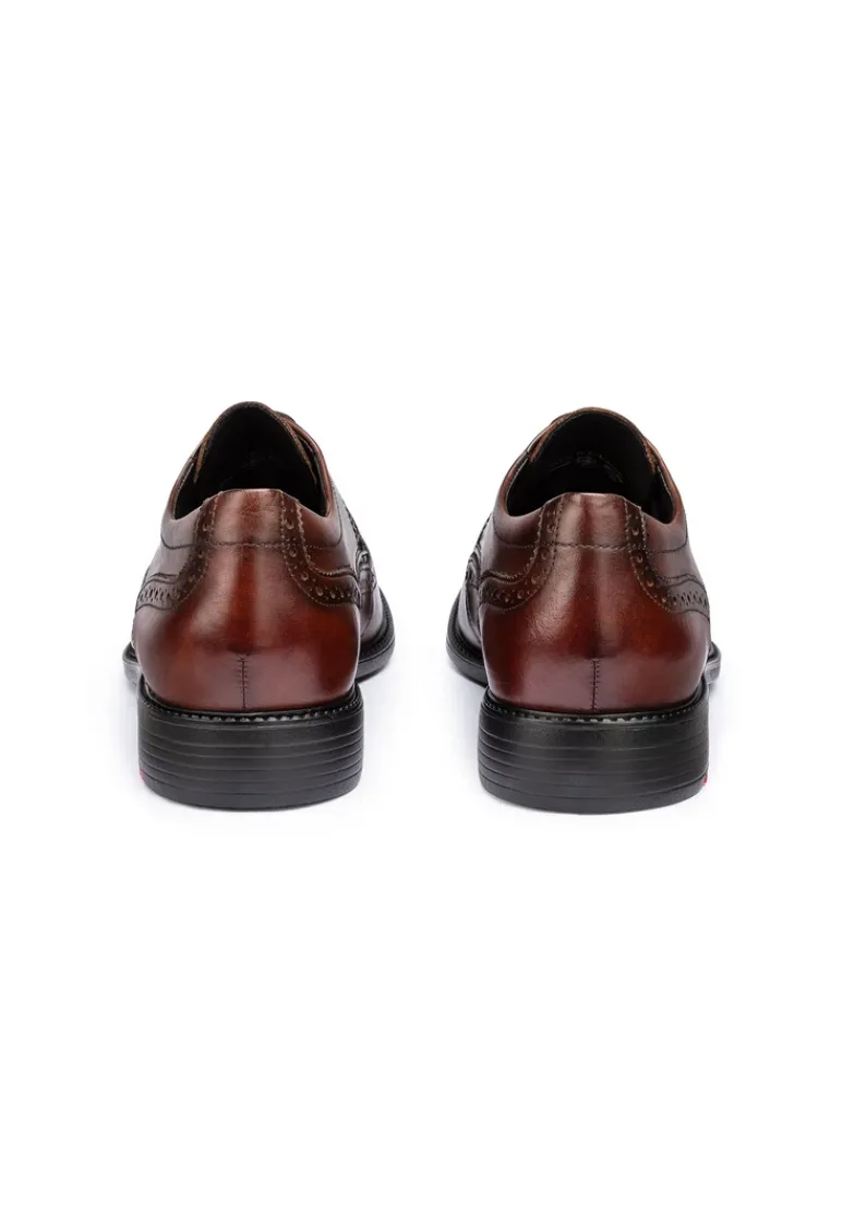 LLOYD TAMPICO brown New