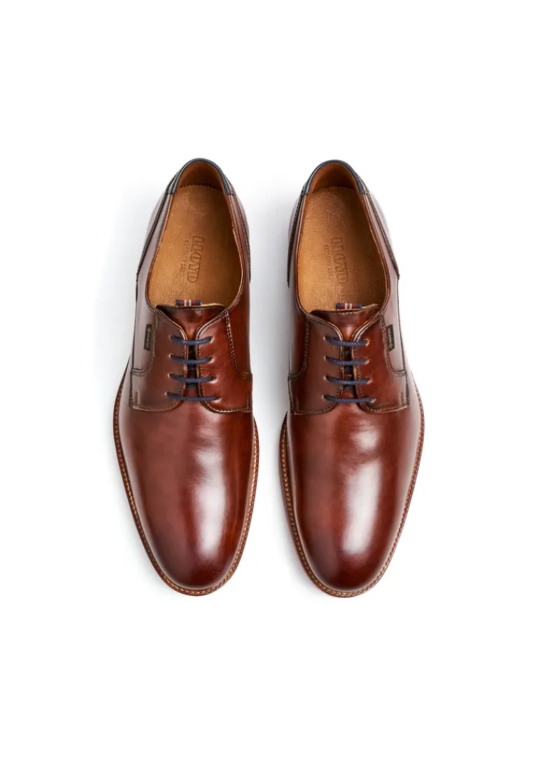 LLOYD VICKERS brown Shop